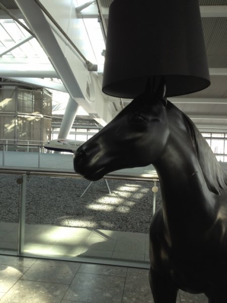 IMG_0440.jpg IMG_0440.jpg