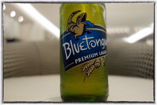 Blutongue beer.jpg