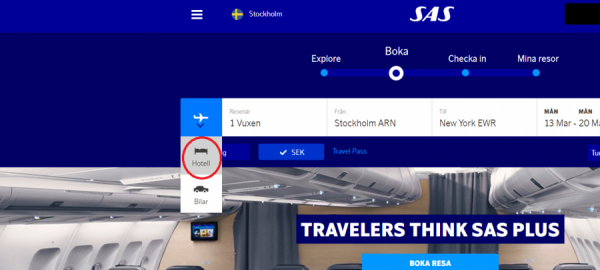 sas.png