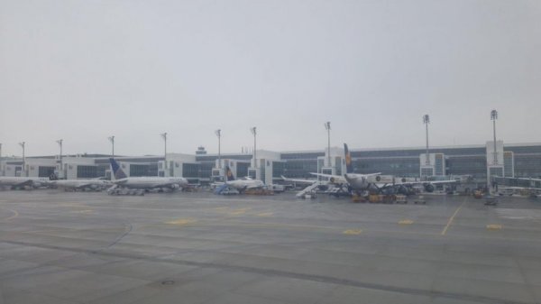2017-01-09 10.45.53.jpg