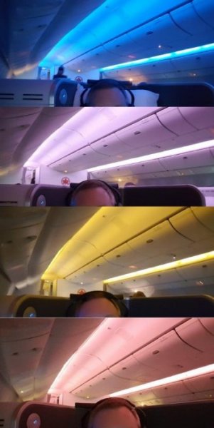 lights.jpg