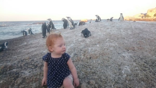 DSC_3762.JPG DSC_3762.JPG