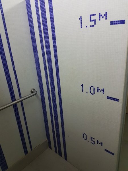 20170415_005905.jpg