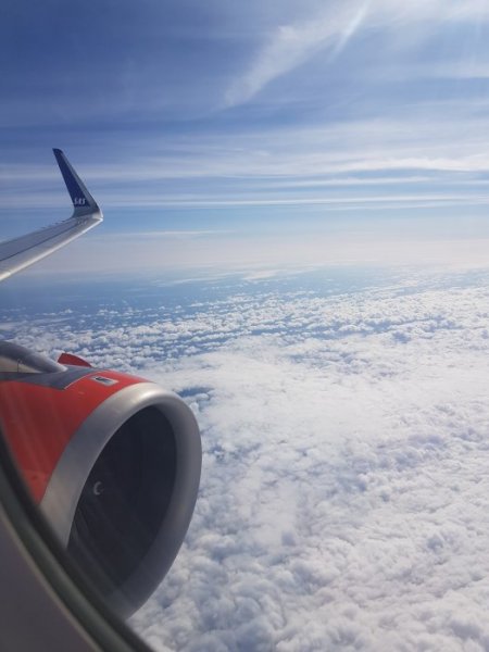 SAS Flyg.jpg