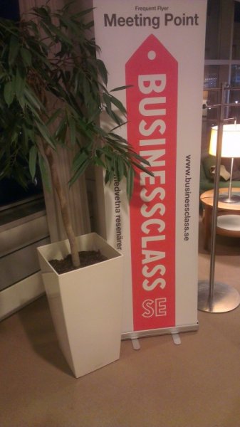 IMAG0113.jpg