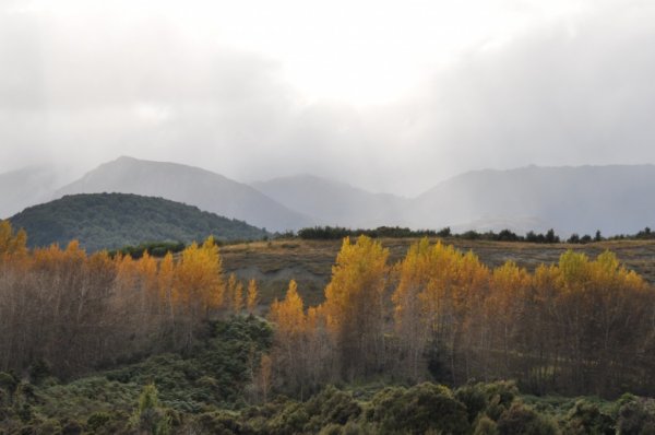 DSC_0136.jpg DSC_0136.jpg