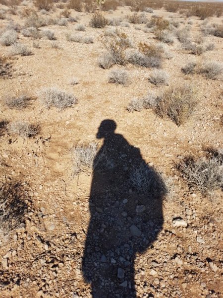 20180112_130018.jpg