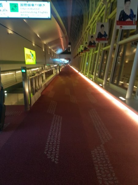 20180114_111558.jpg