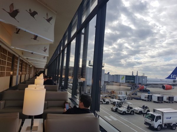 20180114_172325.jpg