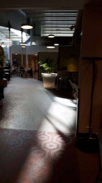 20180221_131730.jpg