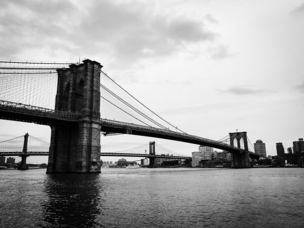 IMG_5174.JPG IMG_5174.JPG