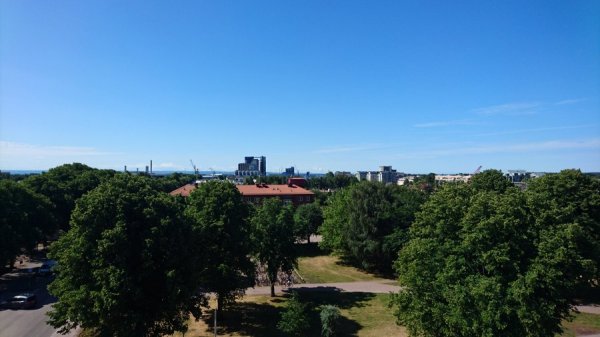 DSC_3699.JPG