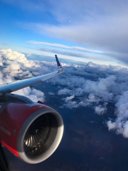 3FEF1782-210D-4135-9EBA-7122A0970E42.jpeg 3FEF1782-210D-4135-9EBA-7122A0970E42.jpeg