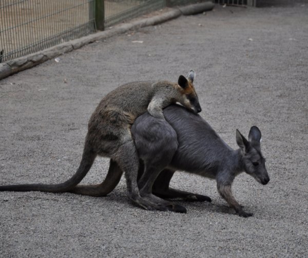 DSC_0029.jpg DSC_0029.jpg