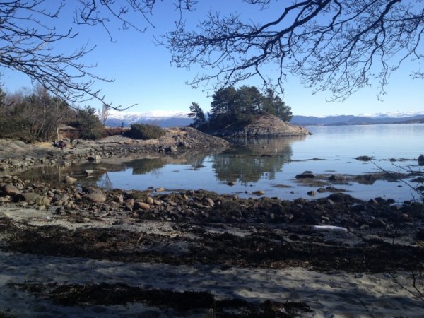 IMG_0449.jpg IMG_0449.jpg