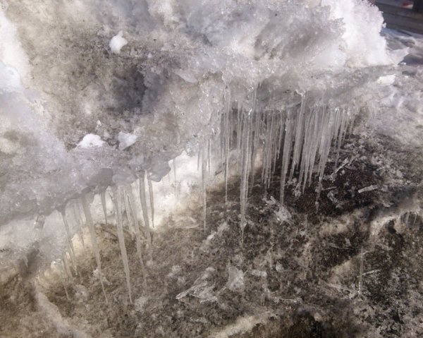 DSC_6117_R.jpg DSC_6117_R.jpg
