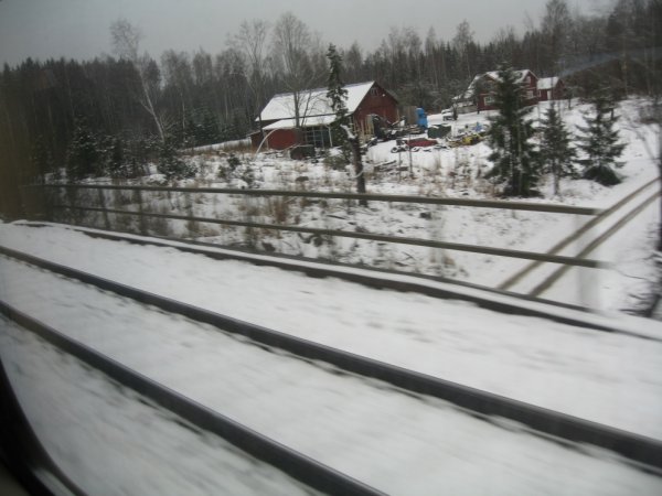 IMG_3483.jpg IMG_3483.jpg