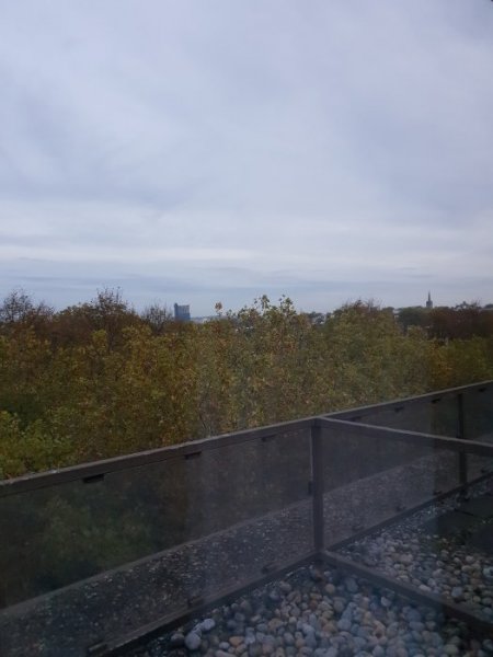 20181023_073148.jpg