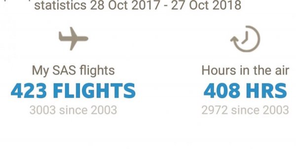 Flights statistik.jpg