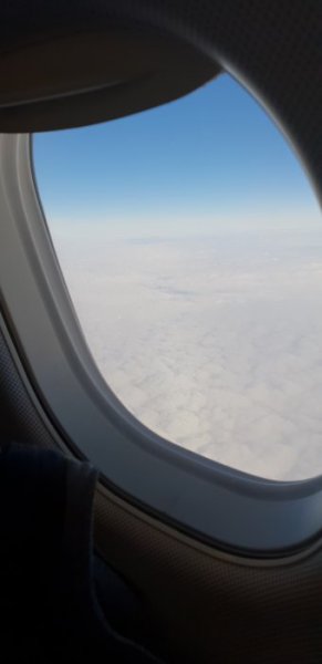 20181210_104326.jpg