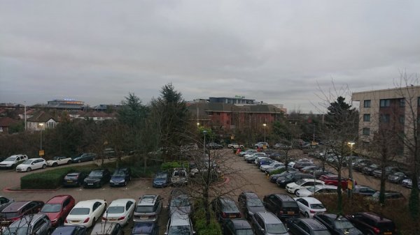 DSC_1003.JPG