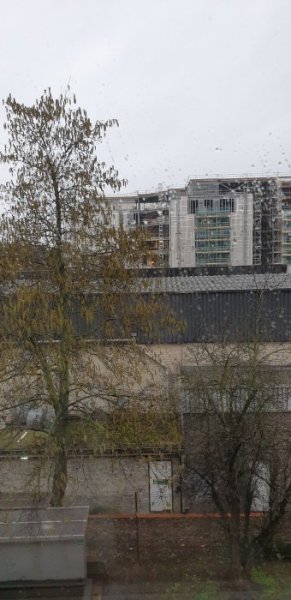 20190303_074219.jpg