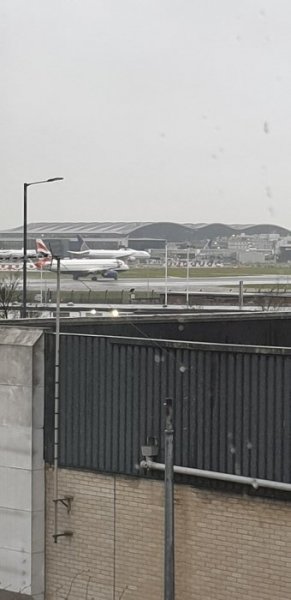 20190303_074356.jpg