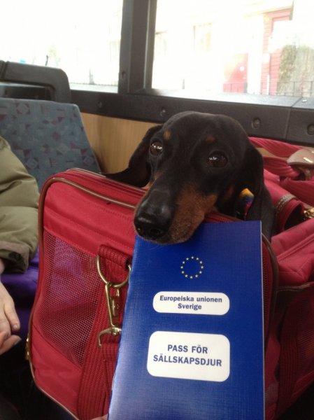 IMG_2145.jpg IMG_2145.jpg