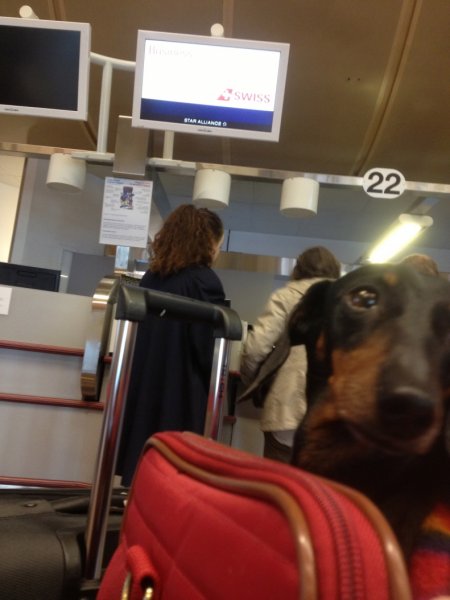 IMG_2146.jpg IMG_2146.jpg