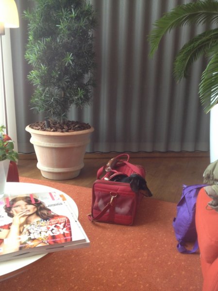 IMG_2150.jpg IMG_2150.jpg