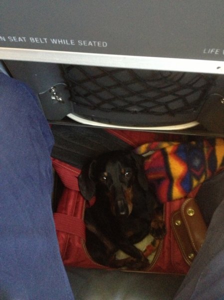 IMG_2158.jpg IMG_2158.jpg