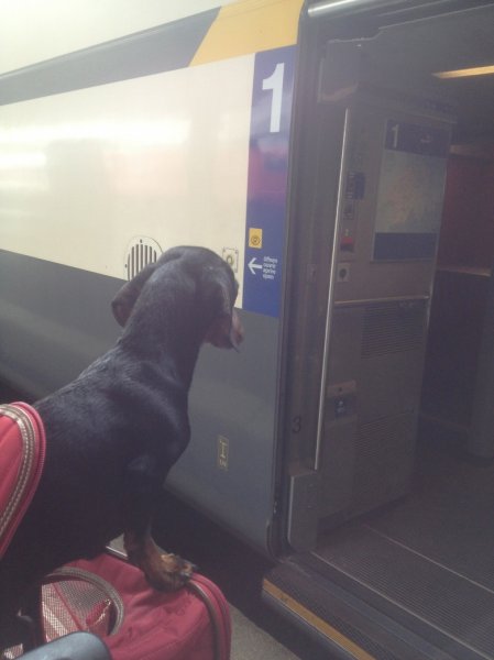 IMG_2314.jpg IMG_2314.jpg