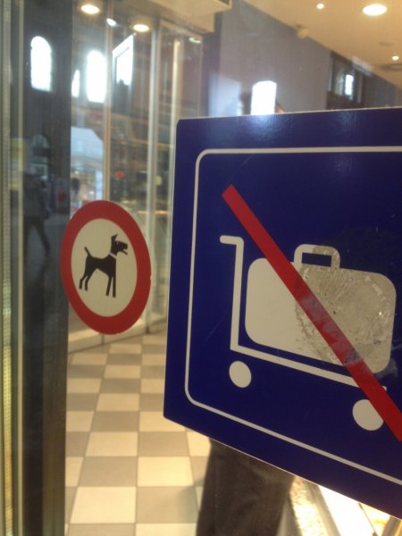 IMG_2345.jpg IMG_2345.jpg