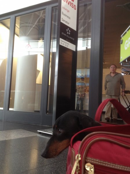 IMG_2347.jpg IMG_2347.jpg