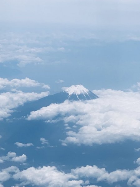 620778AF-B069-48C4-BD15-9D424D67A3C2.jpeg 620778AF-B069-48C4-BD15-9D424D67A3C2.jpeg
