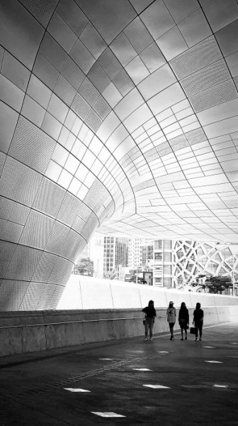 D49031A4-5283-4D44-AB97-46CAA444F27C.jpeg D49031A4-5283-4D44-AB97-46CAA444F27C.jpeg