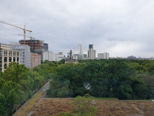 20190706_172429.jpg