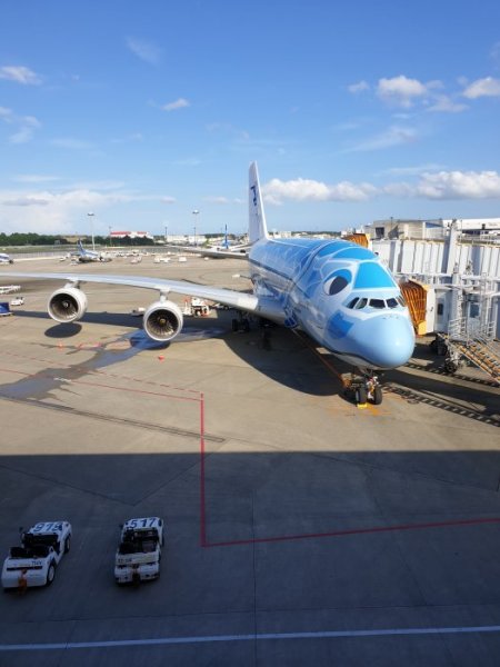 20190727_161833.jpg