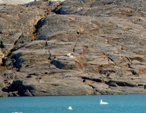 Svalbard 18.jpg Svalbard 18.jpg