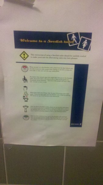 2013-02-05-Swe_toilet.jpg