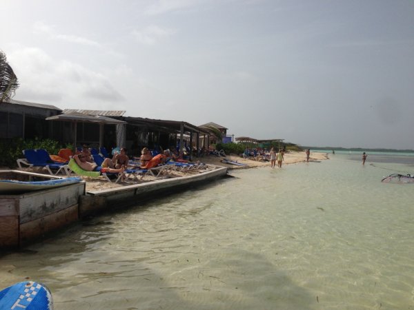 IMG_4501.jpg