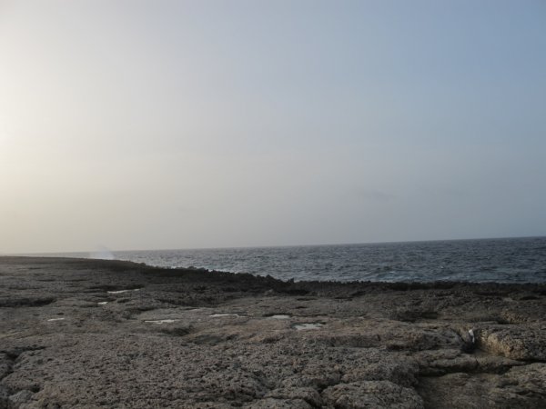 IMG_4293.jpg