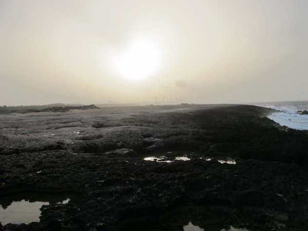 IMG_4300.jpg