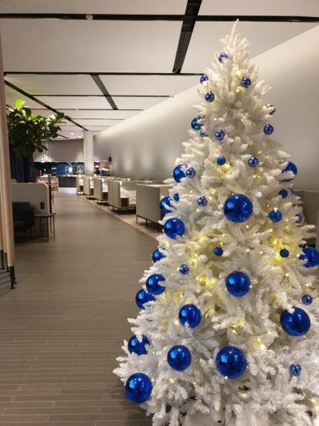 20191128_202658.jpg