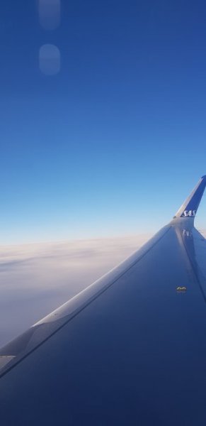 20200109_145602.jpg