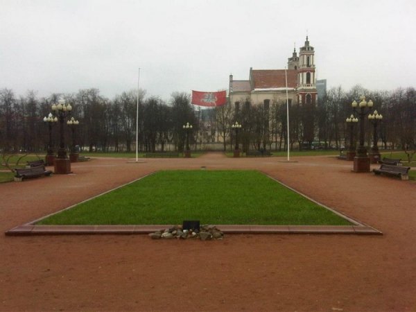 20.jpg