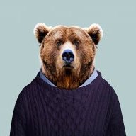 El Oso