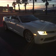 Gizmo79