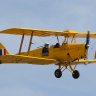 TigerMoth