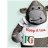 PG Tips